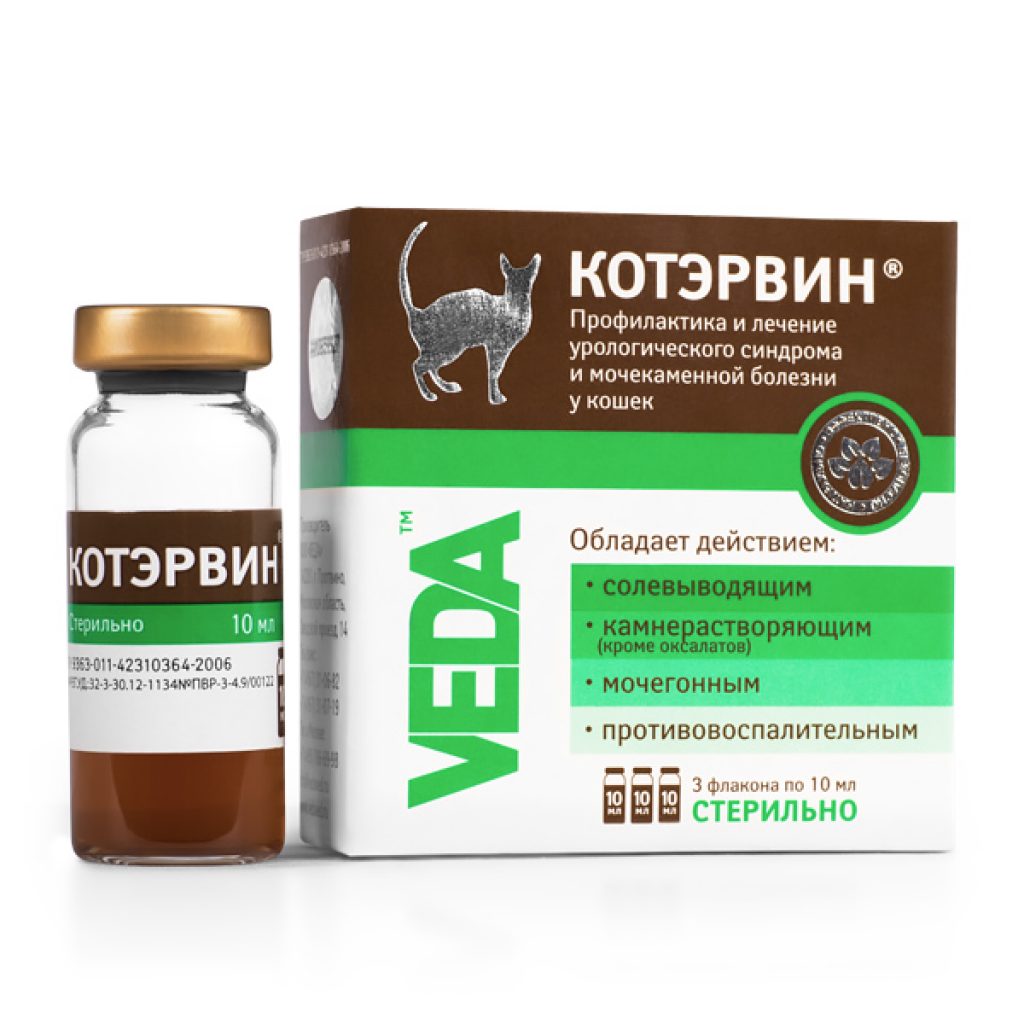 У кошки слезятся глаза: что делать в домашних условиях 14 У кошки слезятся глаза: что делать в домашних условиях 30