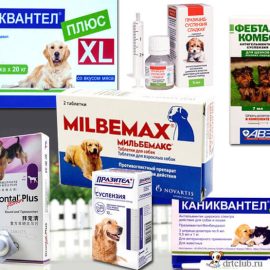 Противопаразитарные препараты