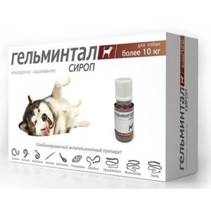 0012324_rolfslub-gelmintal-sirop-antigelmintnyj-preparat-dl-sobak-bolee-10-kg-10-ml_580