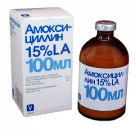 amoksicillin