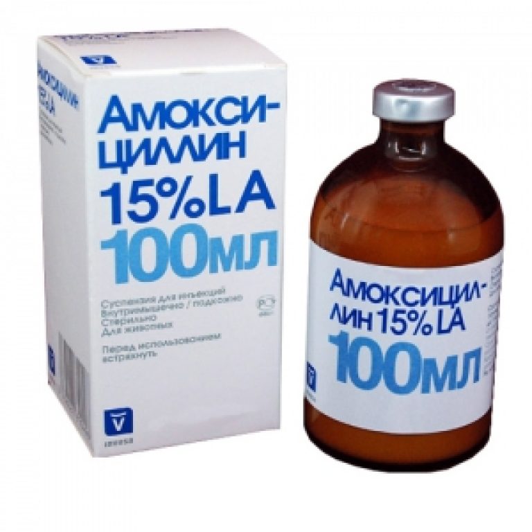 Амоксициллин 1000 Купить В Кирове