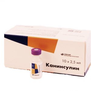 kaninsulin-2
