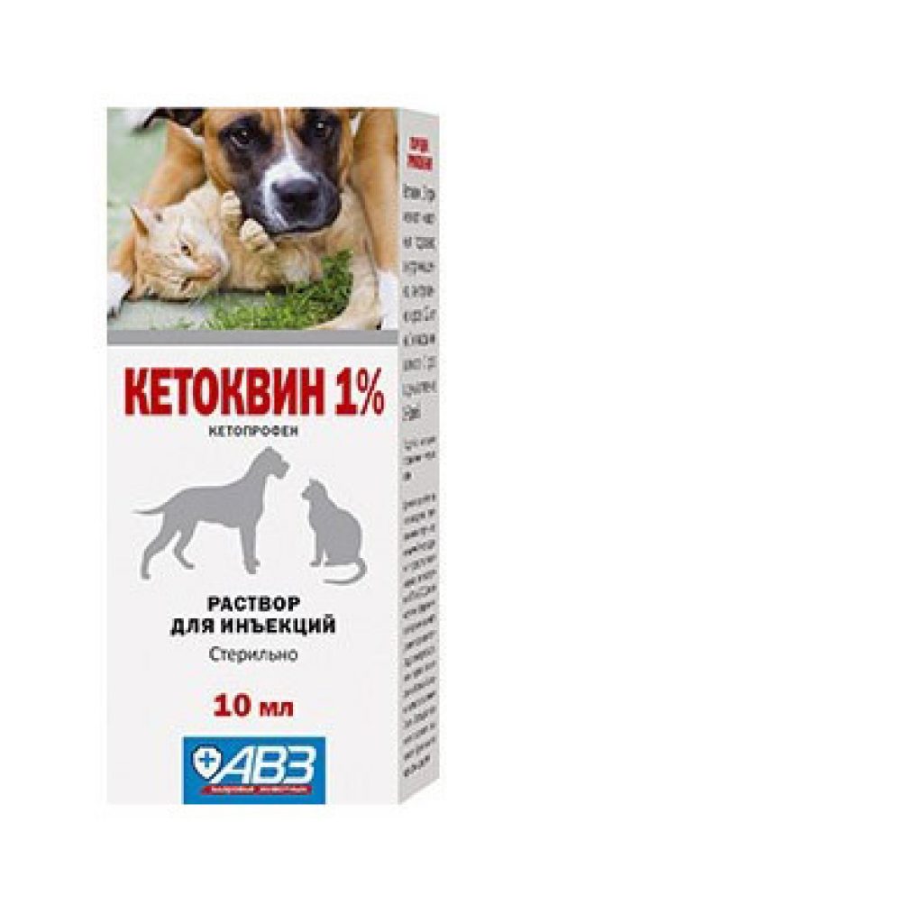 Экс 7 5 капли для собак. Экс таблетки для кошек. Необычная дружба. Дружба животных. Ветеринария диких животных.