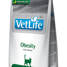 83_48_83_42_vet-life-feline-obesity@web