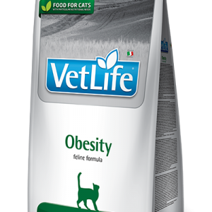 83_48_83_42_vet-life-feline-obesity@web