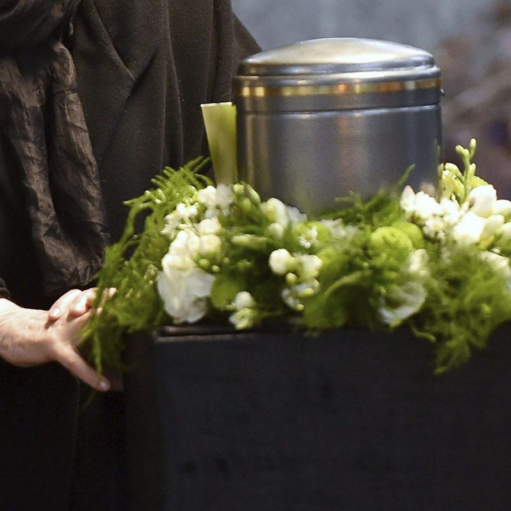 Кремация животных в Москве | Цена для собак и кошек в СВАО, Бабушкино ...