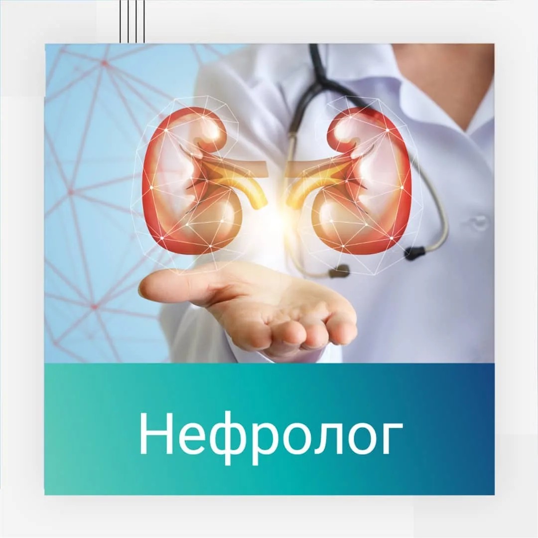 лучший ветеринарный нефролог в москве. Смотреть фото лучший ветеринарный нефролог в москве. Смотреть картинку лучший ветеринарный нефролог в москве. Картинка про лучший ветеринарный нефролог в москве. Фото лучший ветеринарный нефролог в москве